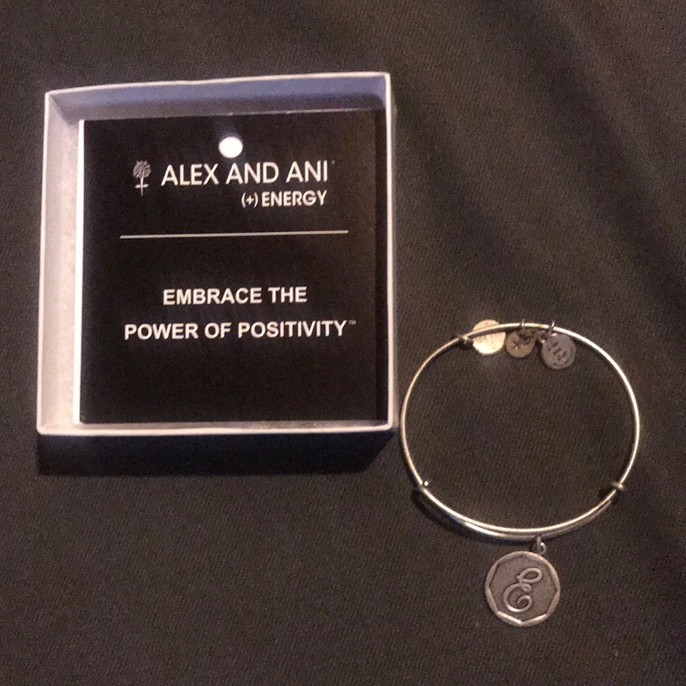 Alex and Ani Bracelet with E Charm
